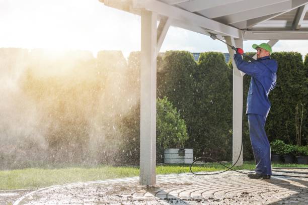 Best Roof Cleaning and Mildew Removal in Lewiston, MN