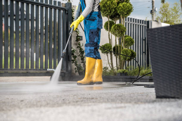 Professional Pressure Washing Services in Lewiston, MN